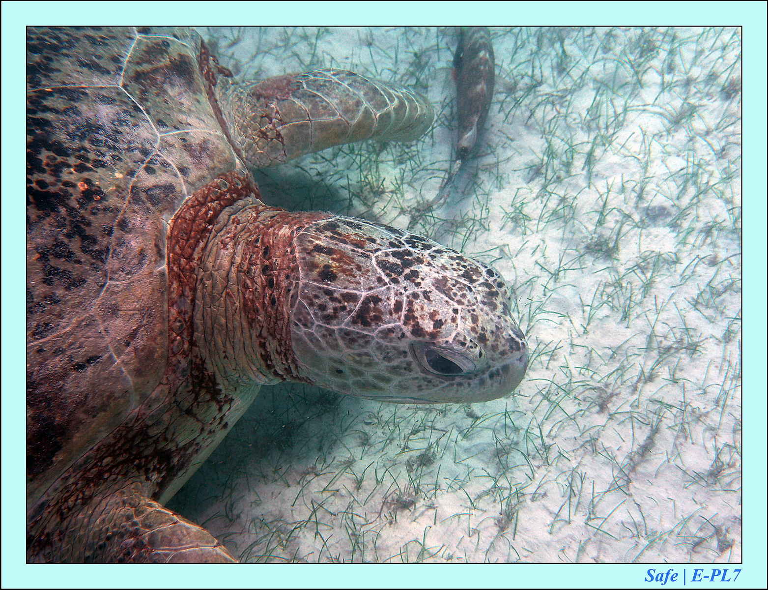 2015   07   Peranthian Islands 07